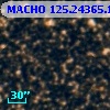 MACHO 125.24365.1181