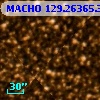 MACHO 129.26365.362