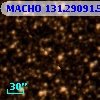 MACHO 131.29091.52