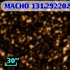 MACHO 131.29220.81