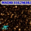 MACHO 131.29610.104