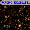 MACHO 132.31169.1093