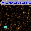 MACHO 132.31174.75