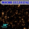 MACHO 132.31174.78