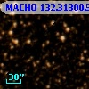 MACHO 132.31300.503