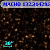 MACHO 132.31429.561