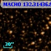 MACHO 132.31436.856