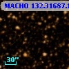 MACHO 132.31687.1003