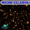 MACHO 132.31818.429