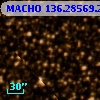 MACHO 136.28569.219
