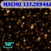 MACHO 137.28944.613