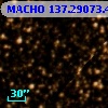 MACHO 137.29073.420