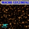 MACHO 137.29074.131