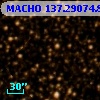 MACHO 137.29074.82