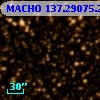 MACHO 137.29075.218