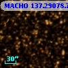MACHO 137.29078.79