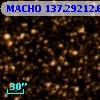 MACHO 137.29212.69