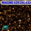 MACHO 137.29213.457
