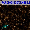 MACHO 137.29463.65