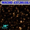 MACHO 137.30116.423