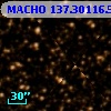 MACHO 137.30116.529