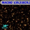 MACHO 138.31028.1255