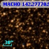 MACHO 142.27770.91