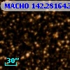MACHO 142.28164.365