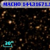 MACHO 144.31671.1775