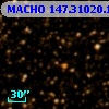 MACHO 147.31020.126