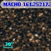 MACHO 161.25217.343