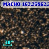 MACHO 162.25862.346