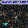 MACHO 163.27556.377