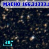 MACHO 166.31333.164