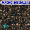 MACHO 168.26114.356