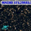 MACHO 171.29893.313