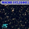 MACHO 172.31447.125