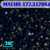 MACHO 172.31708.653
