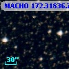 MACHO 172.31836.716