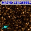MACHO 174.28966.281