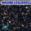MACHO 174.28975.120