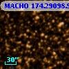 MACHO 174.29098.95
