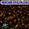 MACHO 174.29228.215