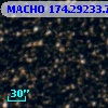 MACHO 174.29233.729