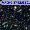 MACHO 174.29360.1303