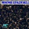 MACHO 174.29362.101