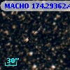 MACHO 174.29362.440