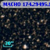 MACHO 174.29495.161