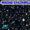 MACHO 174.29495.205