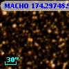 MACHO 174.29748.955